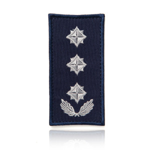 Погон ДСНС Полковник