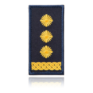 Погон НГУ Полковник_Ukraine